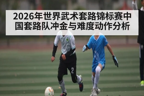 2026年世界武术套路锦标赛中国套路队冲金与难度动作分析