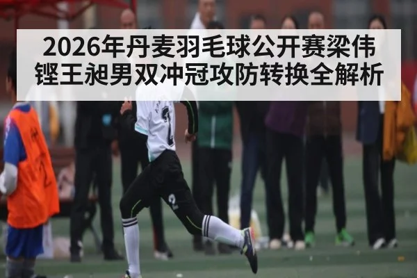 2026年丹麦羽毛球公开赛梁伟铿王昶男双冲冠攻防转换全解析